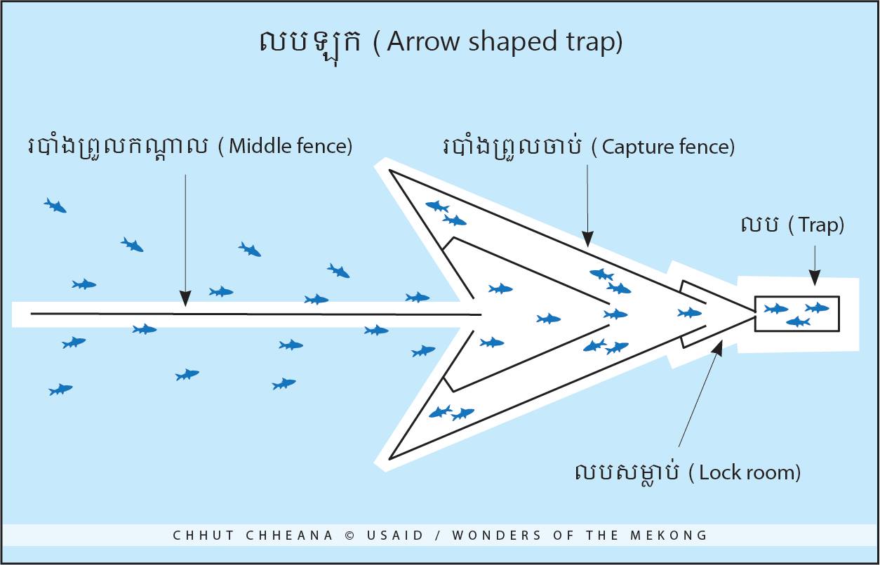 Arrow Traps in Tonle Sap Lake: How do they work? - Mekong Fish Network